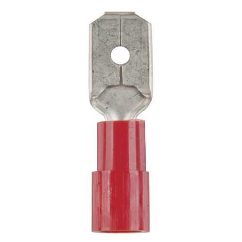 Male Spade - Red - Pack of 8