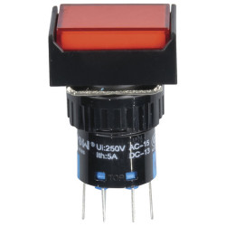 DPDT Illuminated Momentary IP65 Switch Red