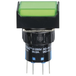 DPDT Illuminated Momentary Pushbutton IP65 Green